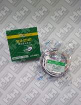 Ремкомплект для гусеничный экскаватор HYUNDAI R250LC-7 (31Y1-18250, S631-140004, 
S632-095004, 
Y171-024004, Y310-150003, Y220-110011, Y180-110020, 
S641-140003, 
S642-095003, Y240-110013, Y110-110011, Y000-090000, Y440-150002, Y420-150000)